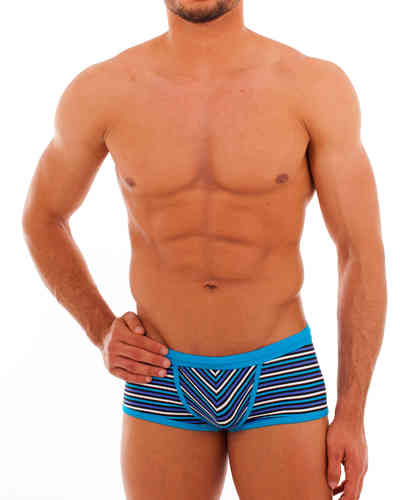 Swimwear Stripes Action Pant blue-white