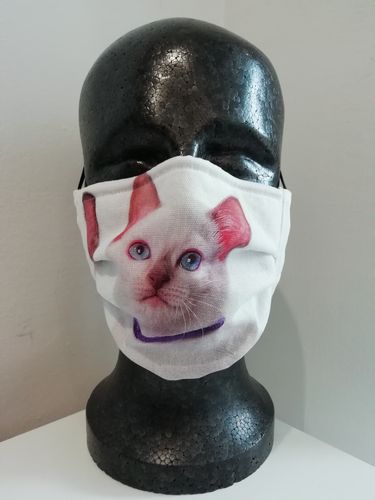 Cottonmask Kitten with purple collar
