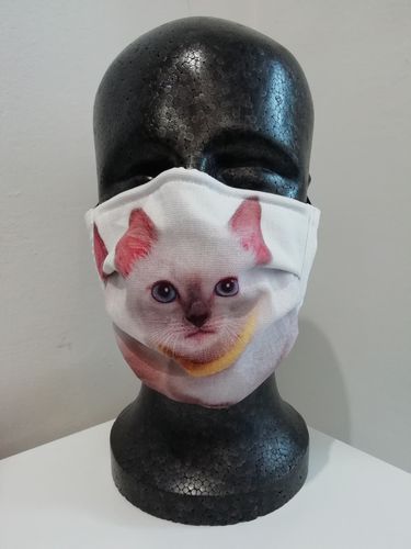 Cottonmask Kitten with yellow collar